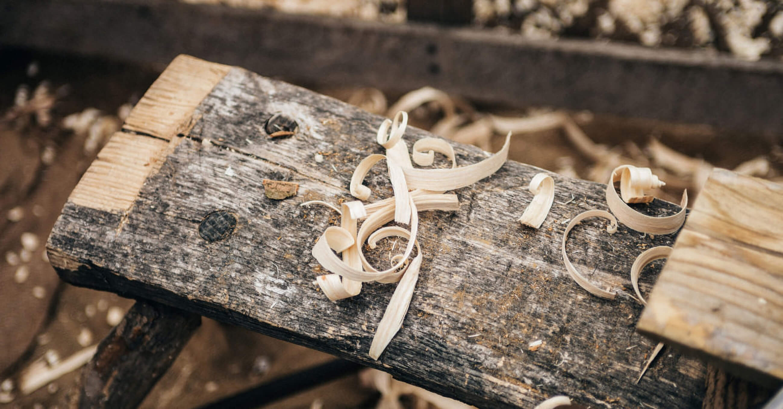 Welches Holz für Haustüren » Unterschiede & Eigenschaften