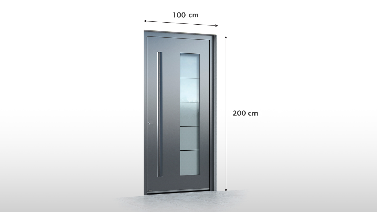 Nebeneingangstüren 200 cm hoch in Anthrazit